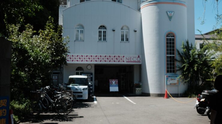 記録映画「シアターねこが置いていく」