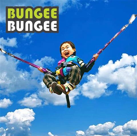 BUNGEE BUNGEE（バンジーバンジー） | イマナニ 愛媛のイベント情報