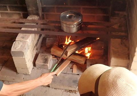 食と環境を考える「おこめ」