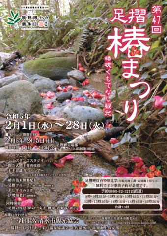 第47回 足摺椿まつり