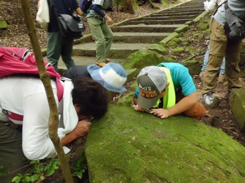 第3回自然観察会「伊曽乃神社のコケの観察」