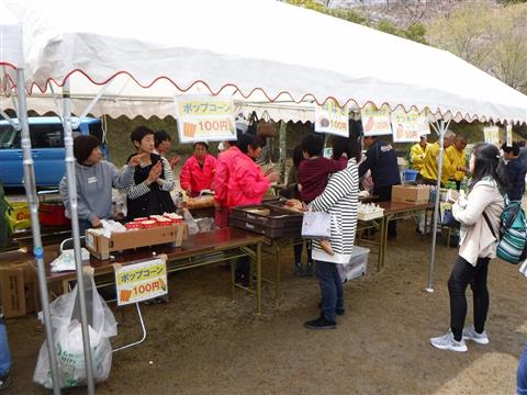 宇和運動公園桜まつり