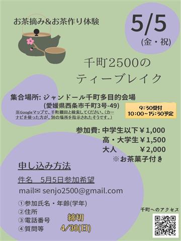 千町棚田のお茶摘み&お茶づくり体験