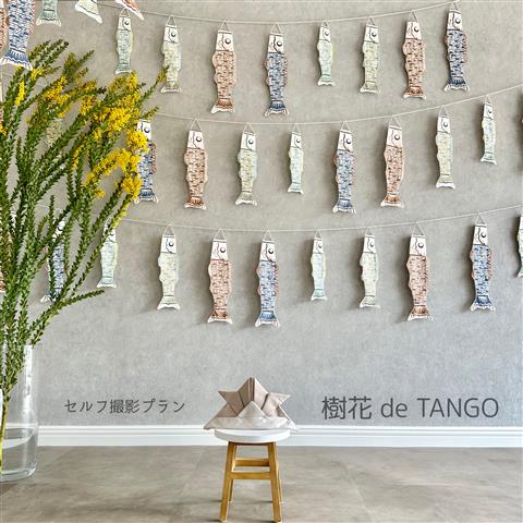樹花~Konoka~ de TANGO