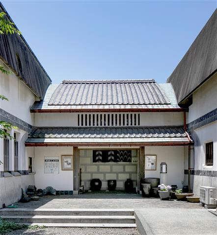 身近な場所にいる虫を探してみよう!