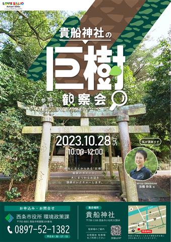 「貴船神社の巨樹観察会」のお知らせ