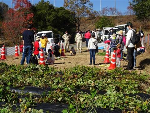 「秋の大収穫祭」さつまいもを掘ろう!