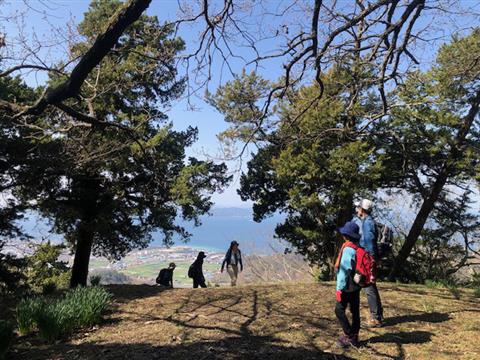 はじめての山歩き 勝岡丘陵~太山寺丘陵