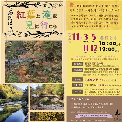 \ 自然ガイドと歩くネイチャーツアー!/面河渓の紅葉と滝を見に行こう!