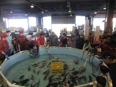 第29回 三津の朝市「旬・鮮・味まつり」
