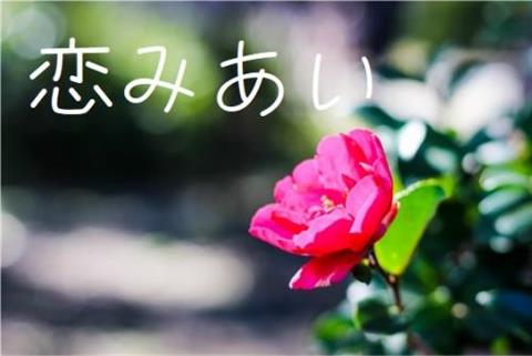 美術館で恋みあい【ランチ付】~20歳~34歳位までの方向け~