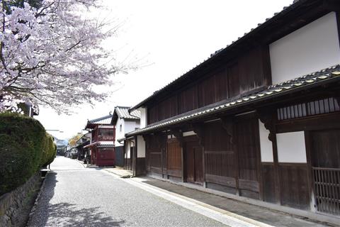 ジオライドツアー 桜サイクリングと法華津峠から宇和海展望編