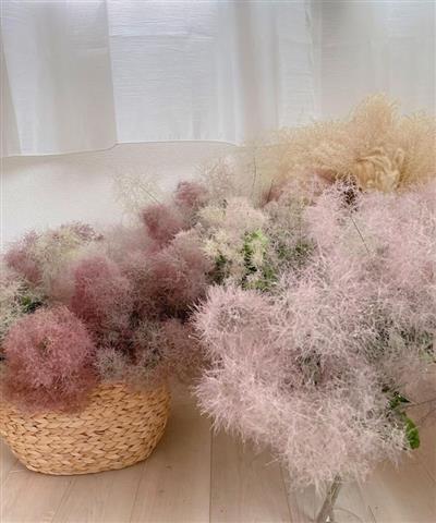 ユーカリとスモークツリー の大きめフライングボール　アンティーク紫陽花 スモークツリー フライングボール 【公式通販】