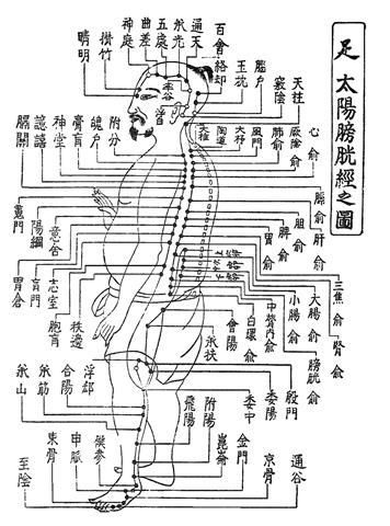 みんなで楽しく東洋医学を勉強しませんか？ オンライン | イマナニ 愛媛のイベント情報