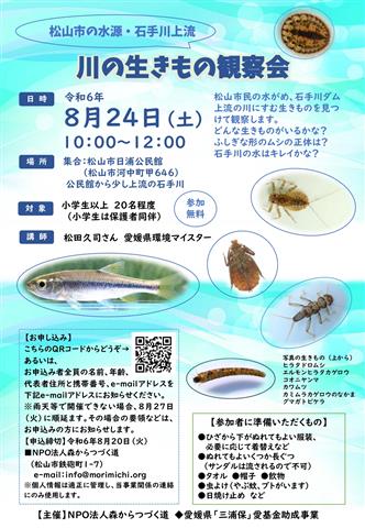 川の生きもの観察会 石手川上流日浦地区