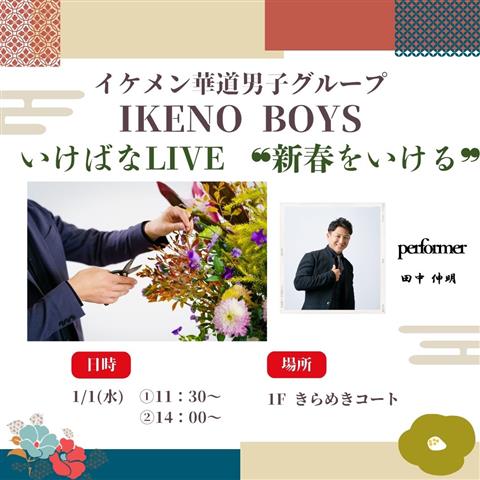 イケメン華道男子グループ IKENOBOYS いけばなLIVE “新春をいける”