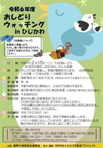 おしどりウォッチングin肱川