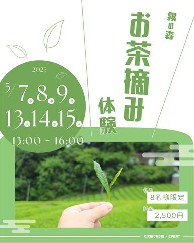 霧の森のお茶摘み体験