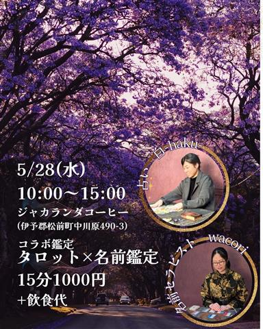 〈コラボ鑑定〉名前鑑定×タロット占い inジャカランダコーヒー