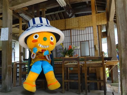 坪内家流しそうめん