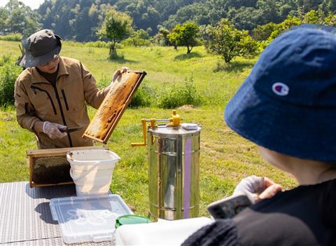 ワクドキ!はたらく冒険隊?夏の自由研究スペシャル?