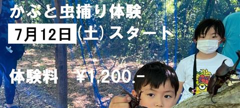 夏休みイベント「昆虫（カブトムシ・」クワガタムシ）トラップ教室」