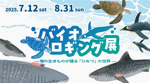 バイオロギング展 ―海の生きものが撮る「ひみつ」の世界―