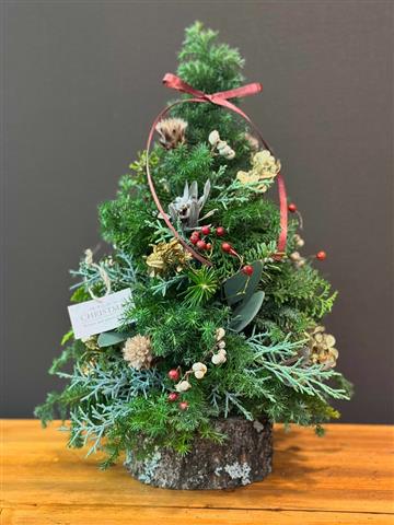 クリスマスツリーとプリンセチア