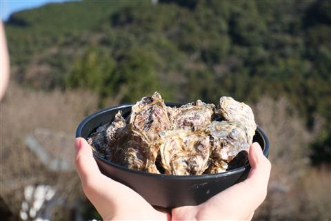 ※中止※牡蠣まつり