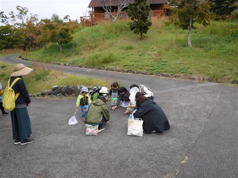 森のやすらぎ親子クラブ