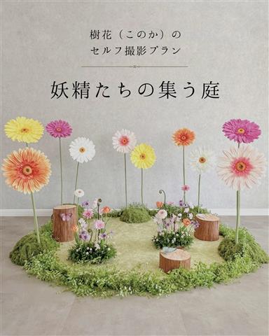 セルフ撮影スタジオ「樹花（このか）」の「妖精たちの集う庭」