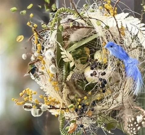 Hug me DAY～植物と過ごすわたしの時間～