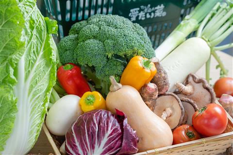 愛たい菜16周年記念感謝祭