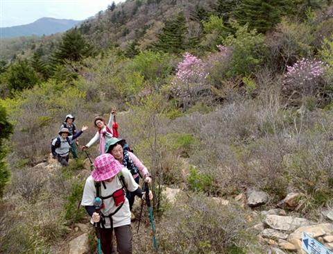 地元愛媛県の人気登山ガイド智さんと行く春のチャレンジ登山　西赤石山 東平より周回