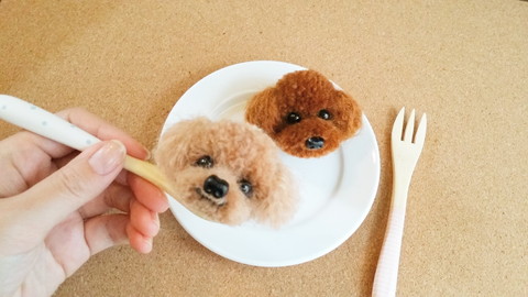 毛糸ポンポン トイプードル 踏み出せ