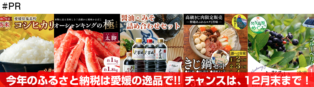 ふるさと納税おすすめ返礼品