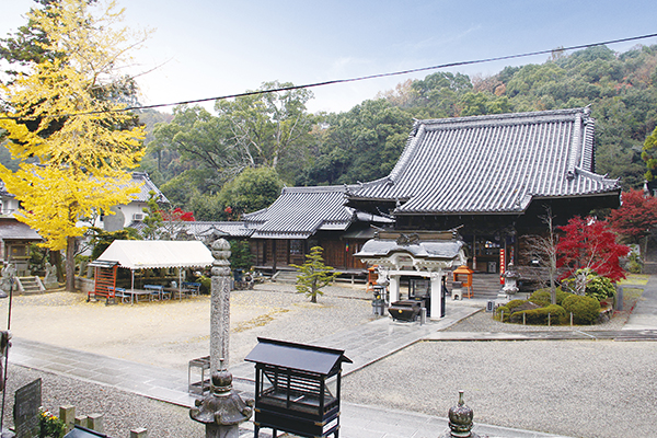 【第3番】 亀光山 釈迦院 金泉寺