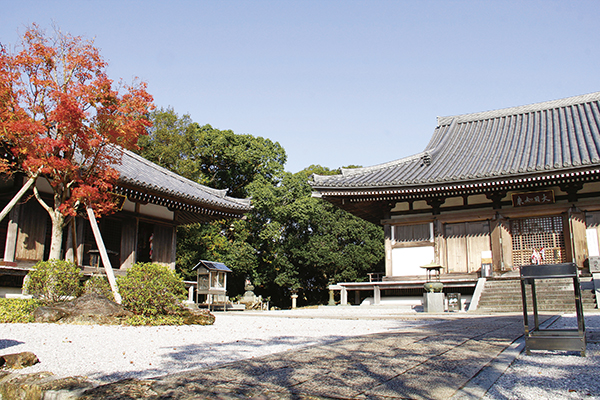 【第28番】 法界山 高照院 大日寺