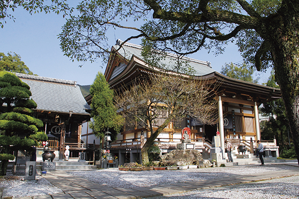 【第30番】 百々山 東明院 善楽寺