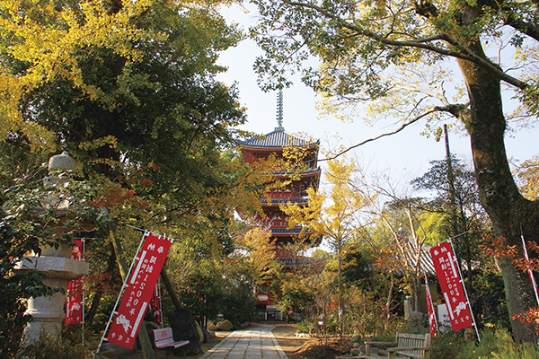 【第86番】 補陀洛山 清浄光院 志度寺