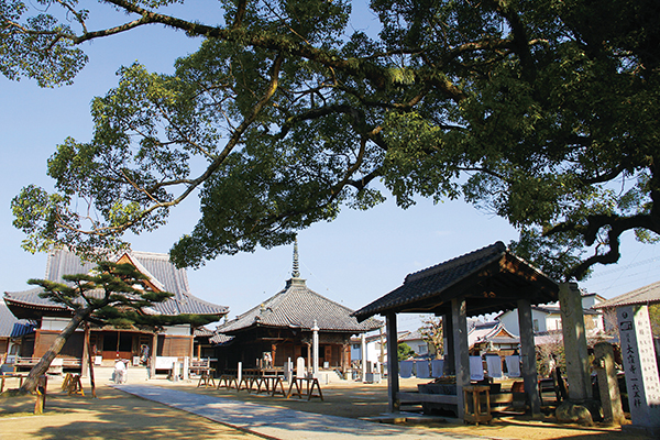 【第87番】 補陀洛山 観音院 長尾寺