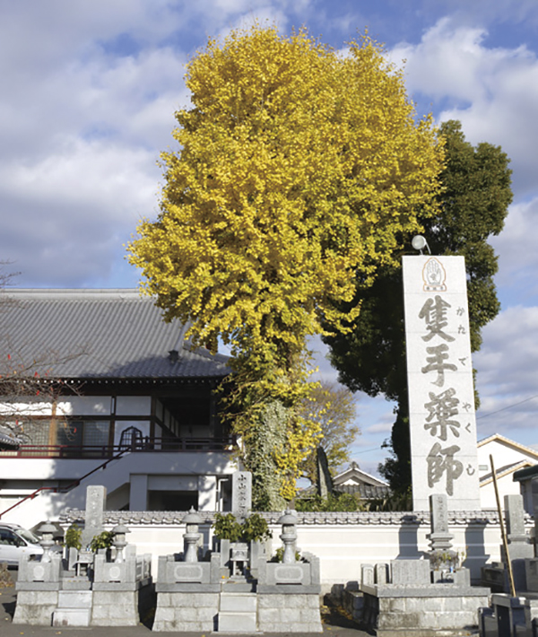香積寺（隻手薬師） イベント一覧 イマナニ 愛媛のイベント情報