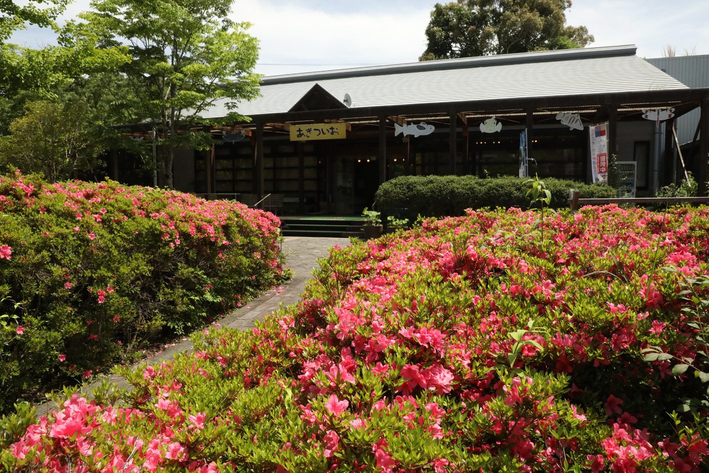 四万十川学遊館・あきついお